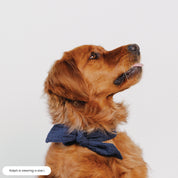 Dog Neck Tie