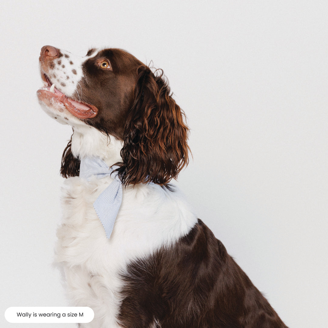 Dog Neck Tie