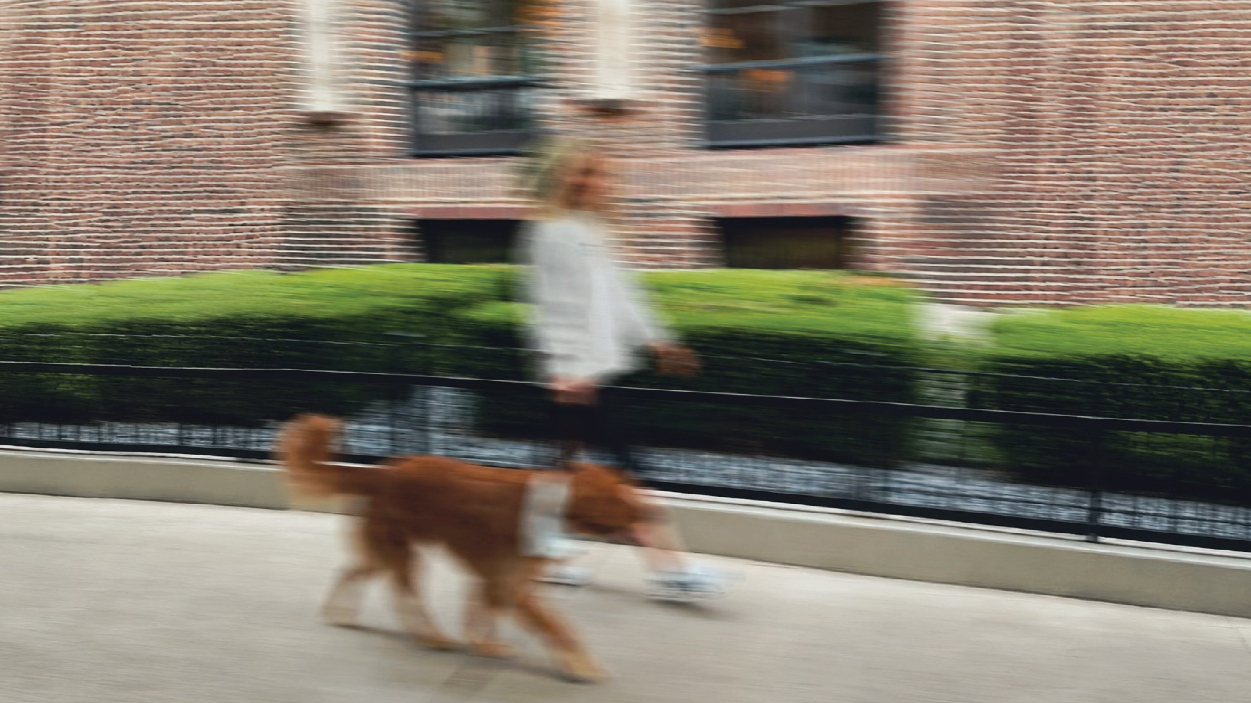 test_banner_1.jpg
